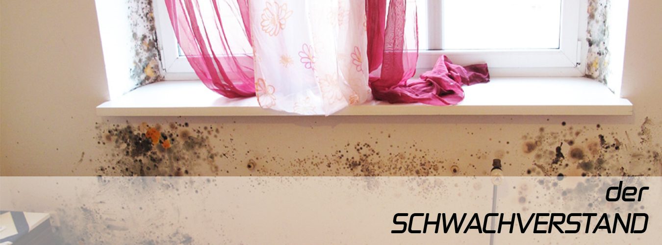 der Schwachverstand am Bau